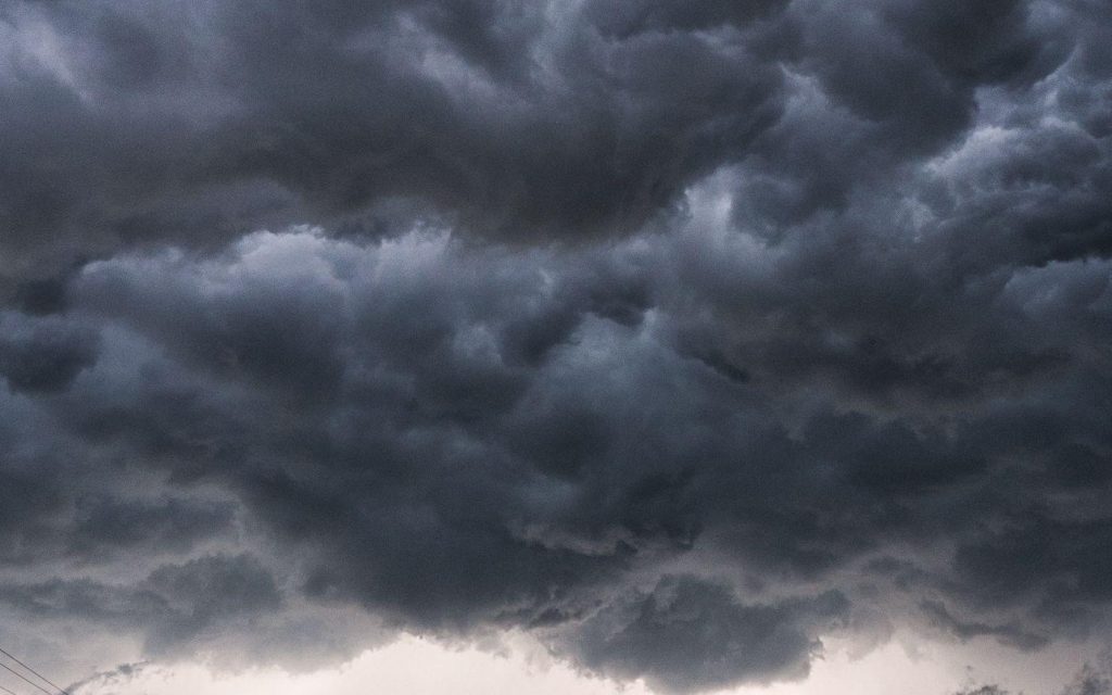 This week's weather: mild with light showers