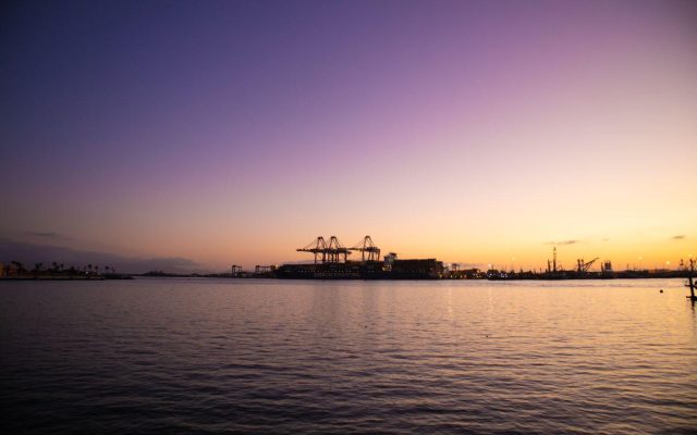 Supply chains recover as ports get busy again