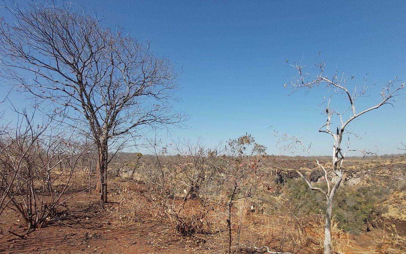 Drought threatens crops as calls grow to save water